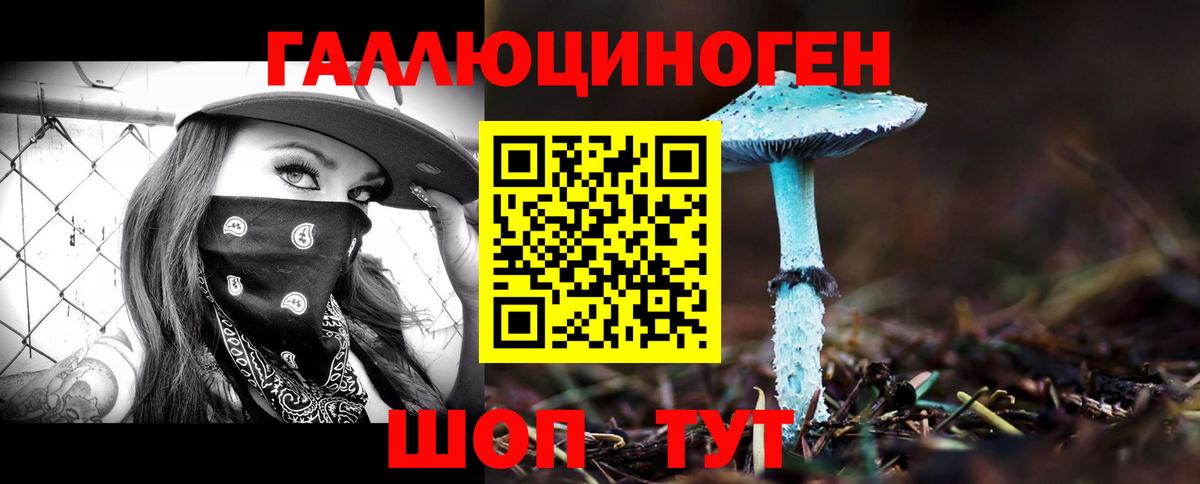 Видное  Галлюциногенные грибы Magic Shrooms  Вход с VPN 