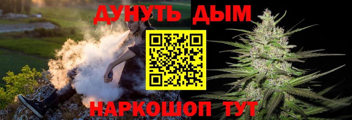 Канабис конопля  Конопля ГИДРОПОН  Видное  Вход с VPN 